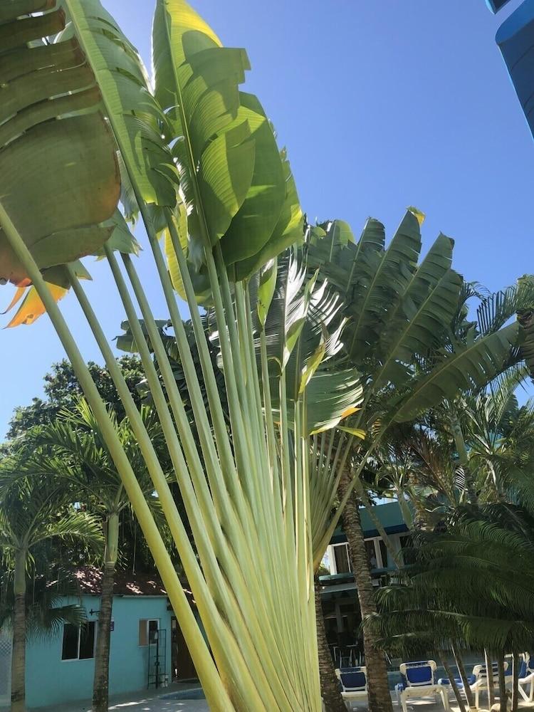 New Garden Hotel Sosua Exterior photo