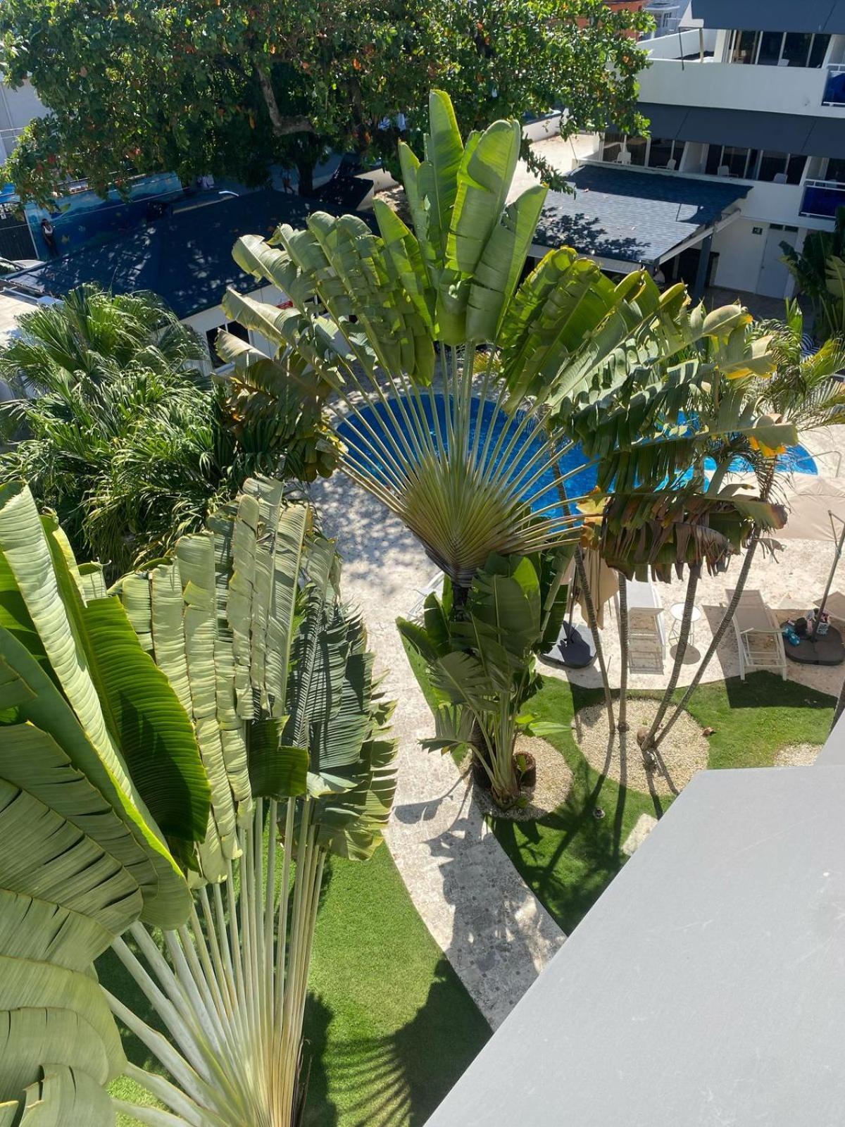 New Garden Hotel Sosua Exterior photo